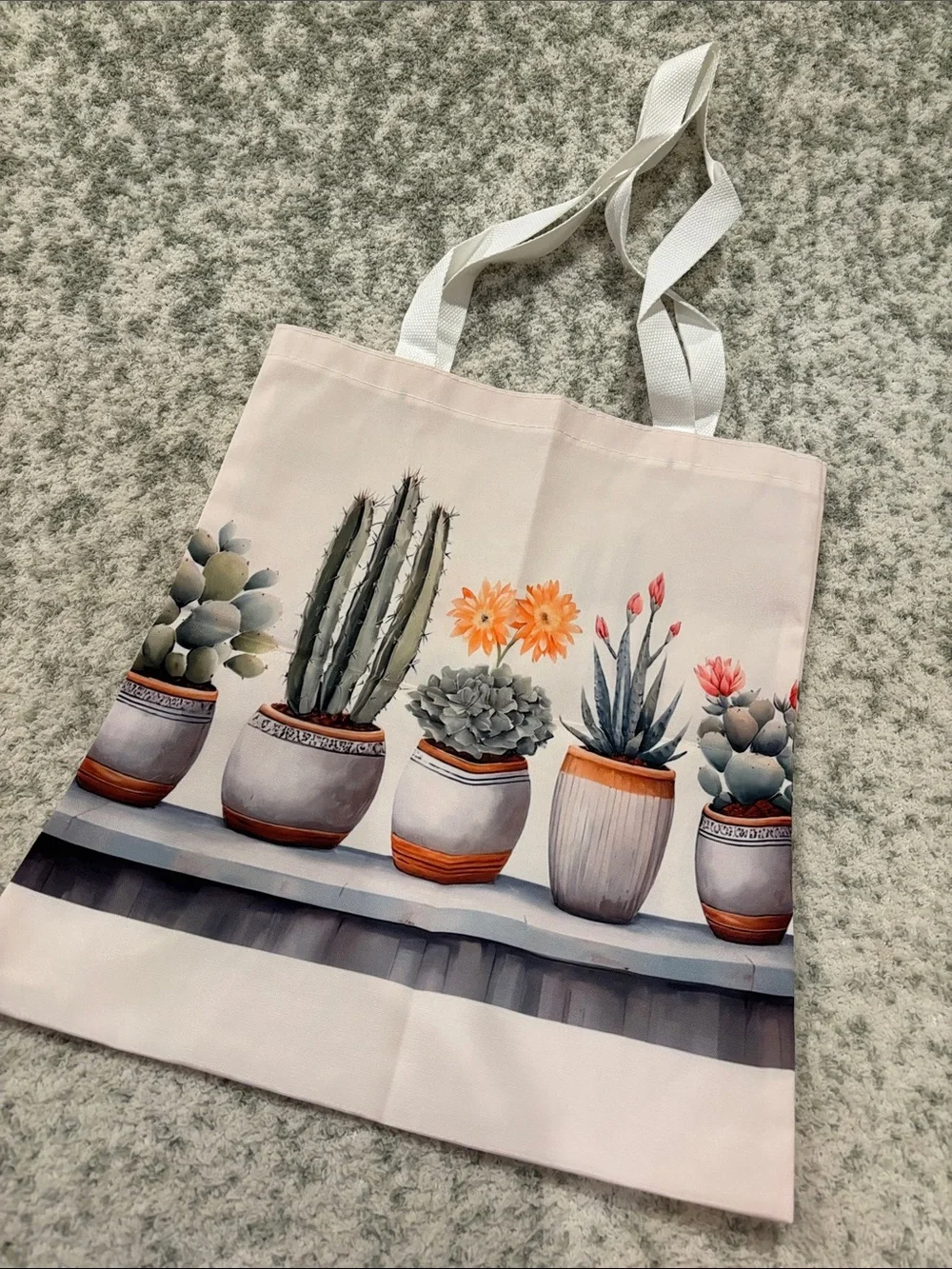 Southwest Desert Botanical Potted Cactus Succulent Poly Canvas Tote Bag NWT
